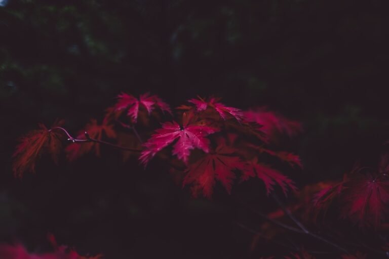 Marathon Runner Sets Record Wearing Recycled Shoes