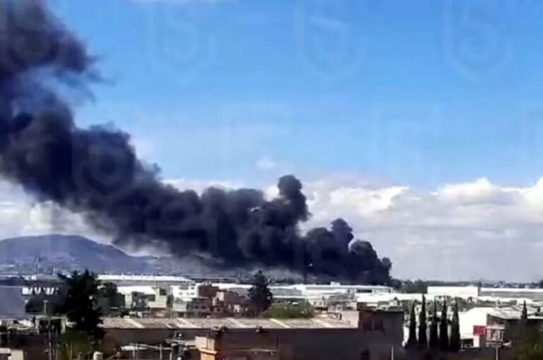 मेक्सिको में निजी विमान लैंडिंग के दौरान छत से टकराया, 7 लोगों की मौत