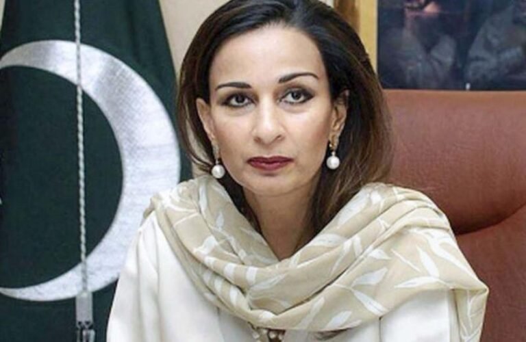 भारत ने दुलहस्ती-2 जल विद्युत परियोजना को दी मंजूरी, पाकिस्तान तिलमिलाया