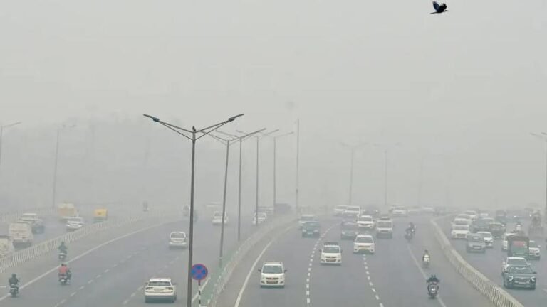 GRAP-3 लागू होने के बाद क्या करें, क्या न करें? यहां है पूरी लिस्ट