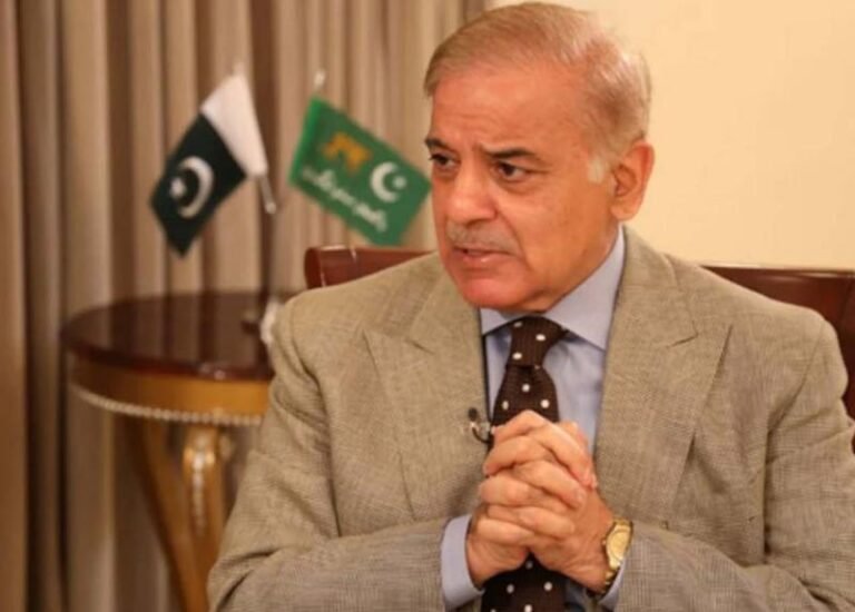 पाक पीएम ने बयां किया दर्द कहा- आपको पता है कर्ज के लिए कितना गिड़गिड़ाना पड़ता है?