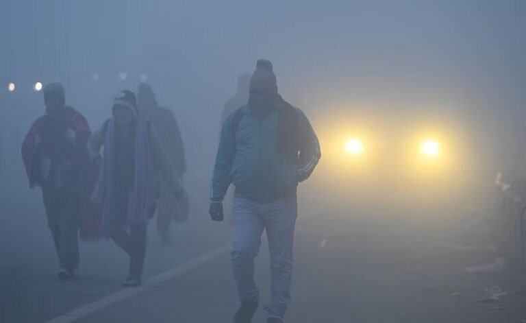 घने कोहरे के चपेट में UP… 24 घंटे में हुए अलग-अलग सड़क हादसों में 20 लोगों की मौत