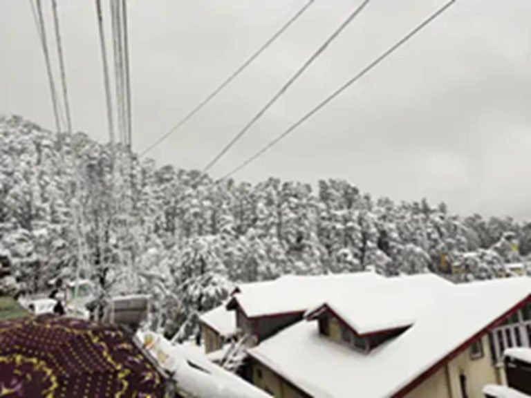 भारी बर्फबारी ने सफेद चादर से ढंक दिया हिमाचल प्रदेश को