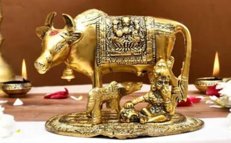 कामधेनु गाय ईशान कोण में रखें