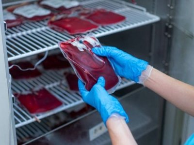 बच्चों को चढ़ाया गया एचआईवी संक्रमित रक्त, हाईकोर्ट के आदेश पर एफआईआर दर्ज