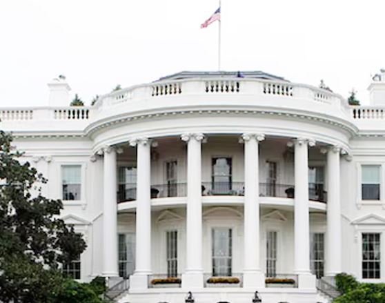 अगर सट्टेबाज क्रूड की कीमतें बढ़ाते हैं, तो यह ऊंचे लेवल को भी पार कर सकता है